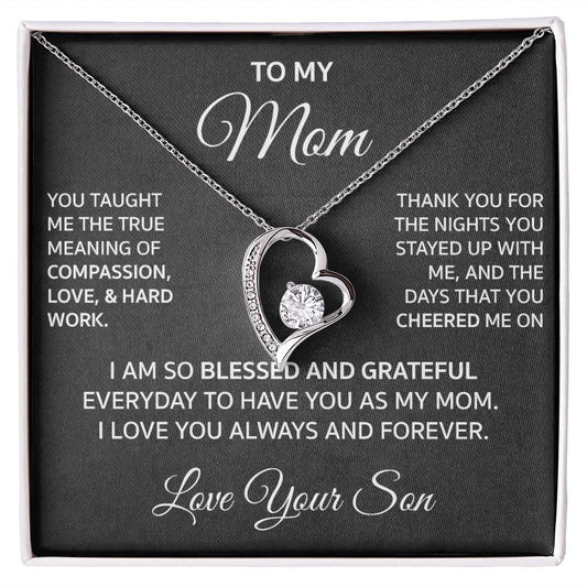 To My Mom From Son "You Taught Me..."